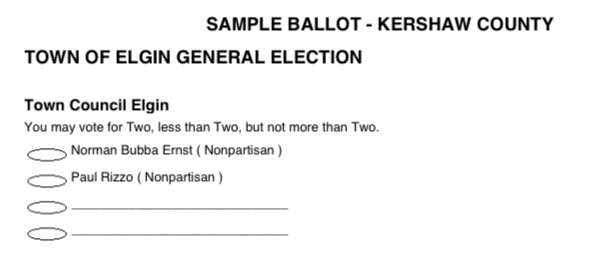 town of elgin council election sample ballot