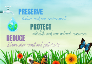 preserve protect reduce