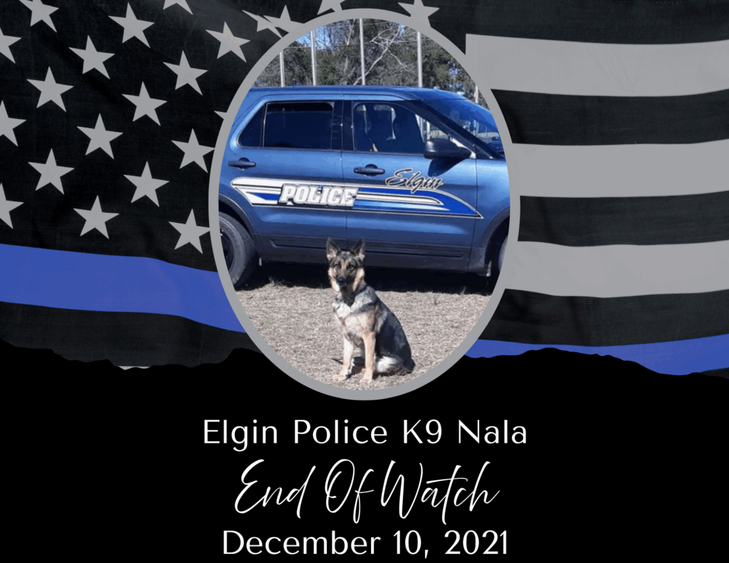 k9 Nala eow